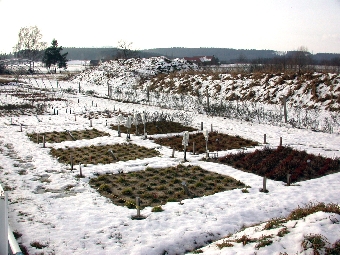 Für das Experiment wurden Flächen im Botanischen Garten der Universität Bayreuth mit einer Bodenheizung versehen, um zusätzliche Frostwechsel auslösen zu können.