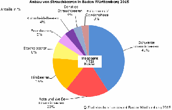 Anbau von Strauchbeeren in Baden-Württemberg 2015 - Kuchendiagramm