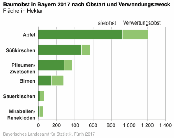 Baumobst in Bayern 2017
