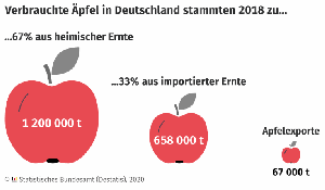 Verbrauchte Äpfel in Deutschland 2018