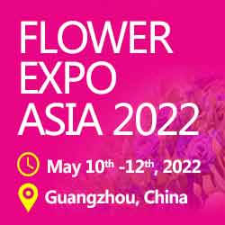Flower Expo China | Guangdong Grandeur International Exhibition Group