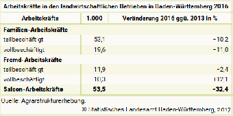Arbeitskräfte in den landwirtschaftlichen Betrieben in Baden-Württemberg 2016 - Tabelle