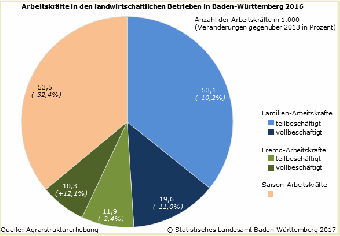 Arbeitskräfte in den landwirtschaftlichen Betrieben in Baden-Württemberg 2016
