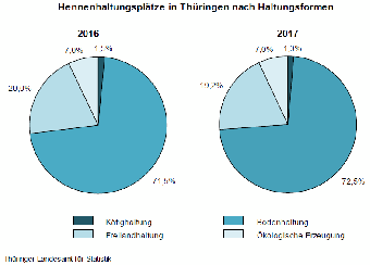 Hennenhaltungsplätze in Thüringen nach Haltungsformen