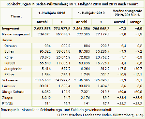 Schlachtungen in Baden-Württemberg