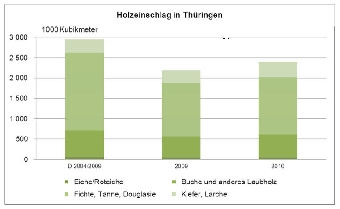 Holzeinschlag in Thüringen (Quelle: tls)