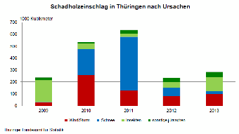 Schadholzeinschlag in Thüringen nach Ursachen