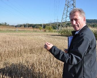 Klaus Mastel - Abteilungsleiter Pflanzenbau und Produktionsbezogener Umweltschutz am LTZ