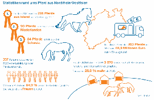 Statistiken rund ums Pferd in NRW