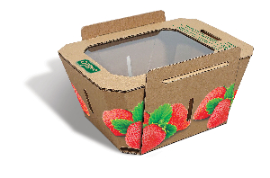 SoFruMiniPak® EcoView für Erdbeeren 500 g