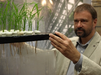 Prof. Dr. Folkard Asch mit Reispflanzen