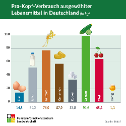 Pro-Kopf-Verbrauch ausgewählter Lebensmittel in Deutschland (c) BLZ