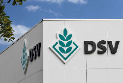 (c) Deutsche Saatveredelung AG (DSV)