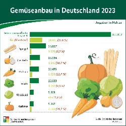 Gemseanbau in Deutschland 2023