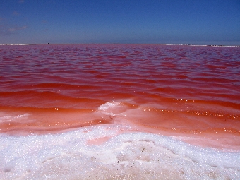 Salzsee in Namibia
